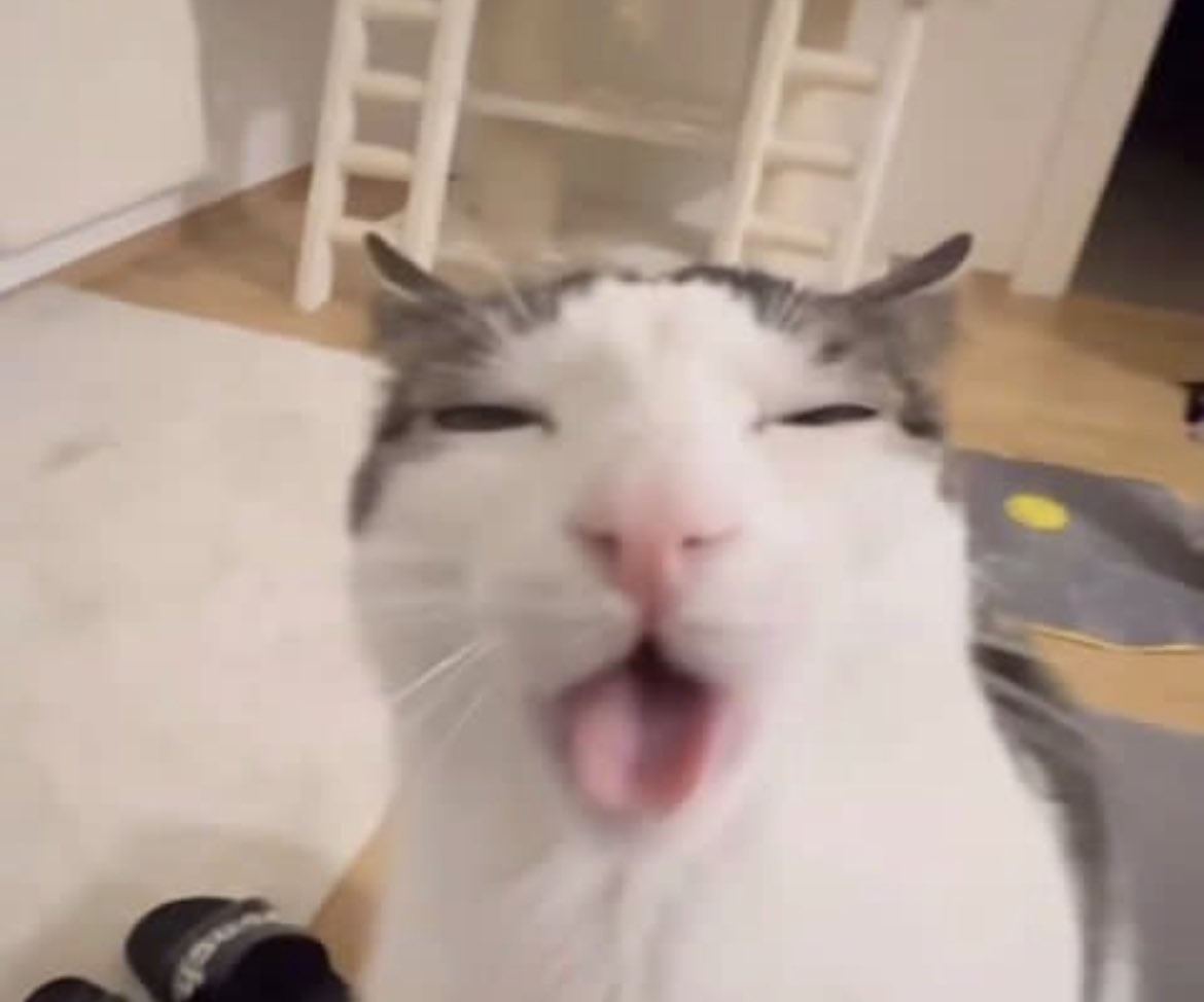 pulsarpluto's tweet image. So bored but also loving life rn :) , what’s up y’all