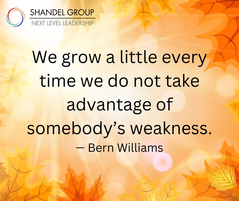 Shandel Group tweet media