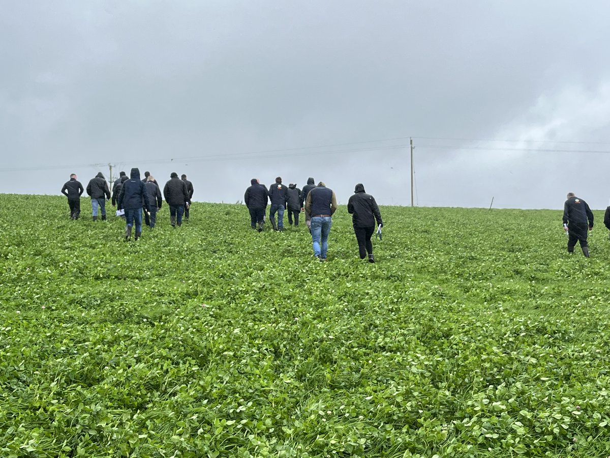 A recent Signpost workshop on the farm of Chris &amp; TJ Tuffy Sligo taking a look at an impressive crop of red clover silage which has played a big role in reducing nitrogen usage on the farm over the last two years.