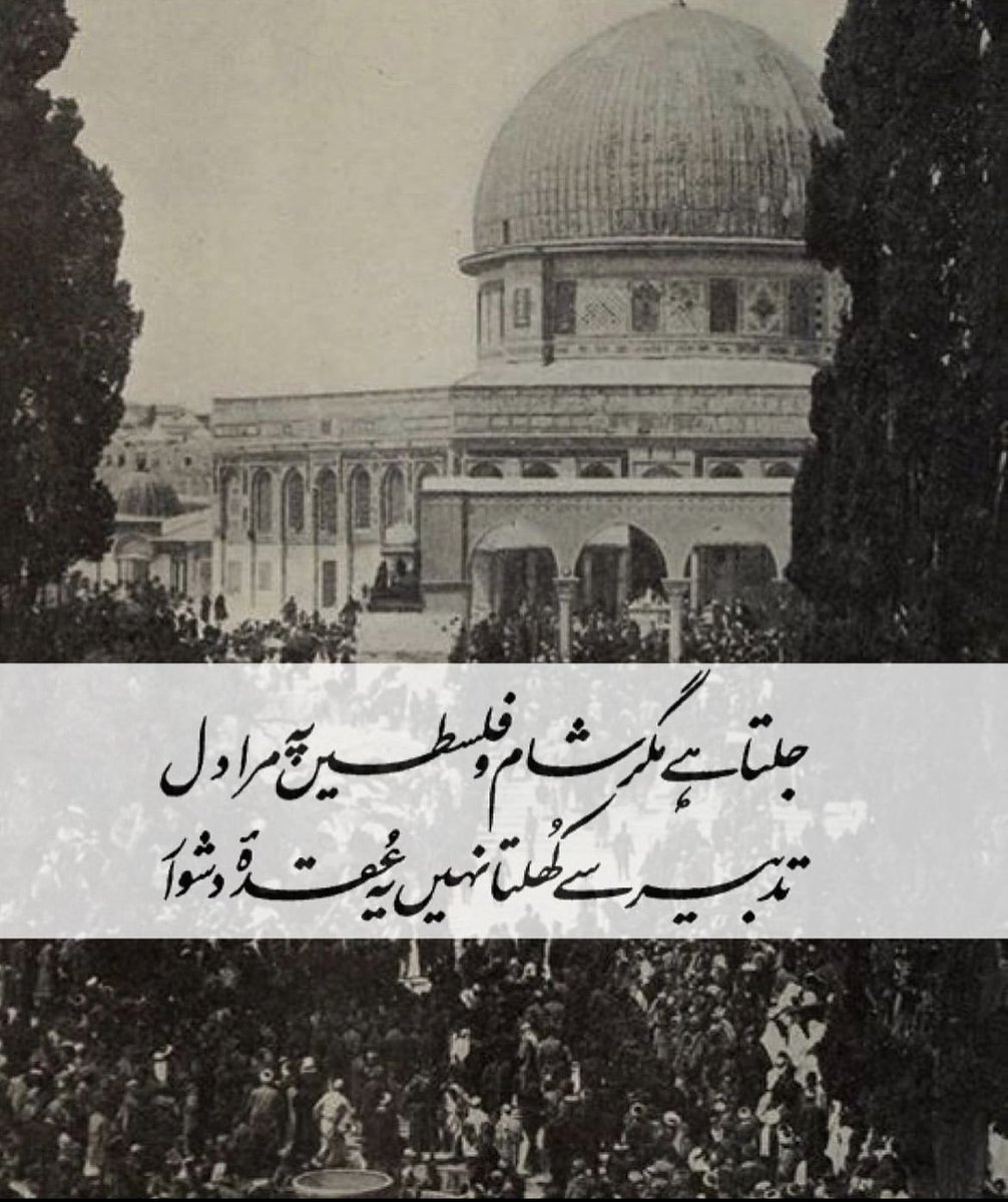 syyedmohdsaad's tweet image. jalta hai magar sham-o-falasteen pe mera dil tadbeer se khulta nahin ve ugda-e-dushwär
[and yet, my heart burns for syria and palestine, and finds for this knotty puzzle no explanation]
-Allama labal

❤️🇵🇸🫶

#FreePalaestine