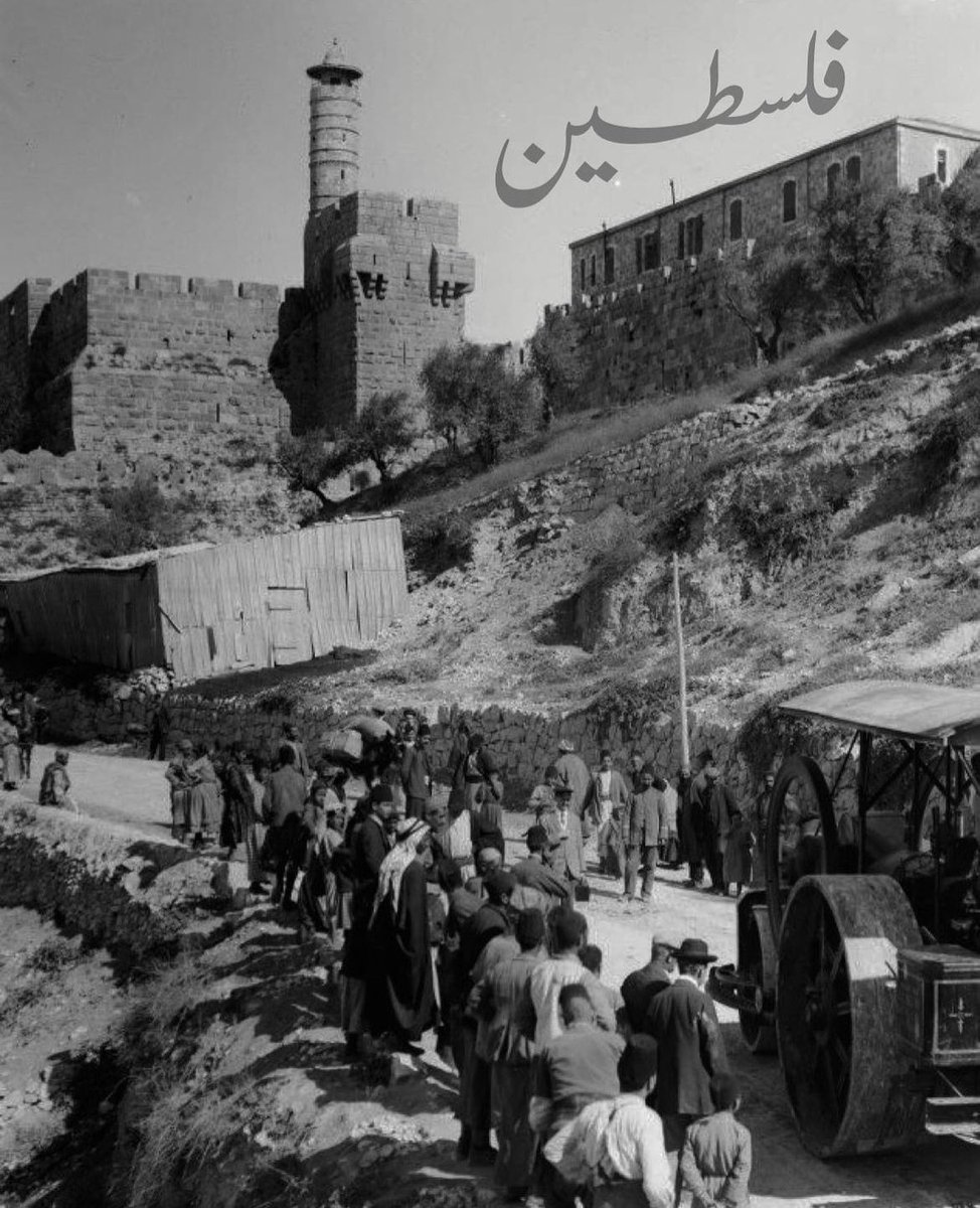 syyedmohdsaad's tweet image. jalta hai magar sham-o-falasteen pe mera dil tadbeer se khulta nahin ve ugda-e-dushwär
[and yet, my heart burns for syria and palestine, and finds for this knotty puzzle no explanation]
-Allama labal

❤️🇵🇸🫶

#FreePalaestine