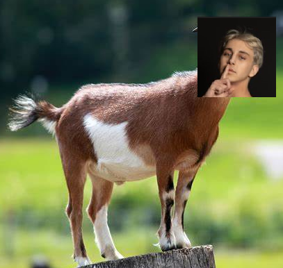 Versatile player, insane gameknowledge/work ethic
(pic related)