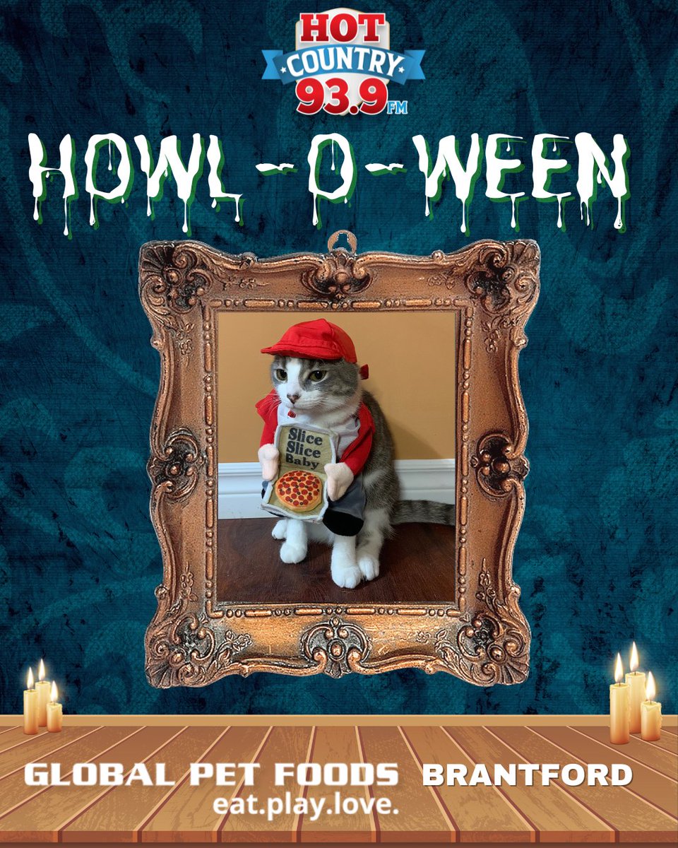 HotCountry939's tweet image. Pepper is looking feline fine as a #PizzaCat! 🐱🍕

Submit a photo of your pet in a #HalloweenCostume at hotcountry939.com for a chance to win a $500 Gift Card to @GlobalPetFoods Brantford. 🎃