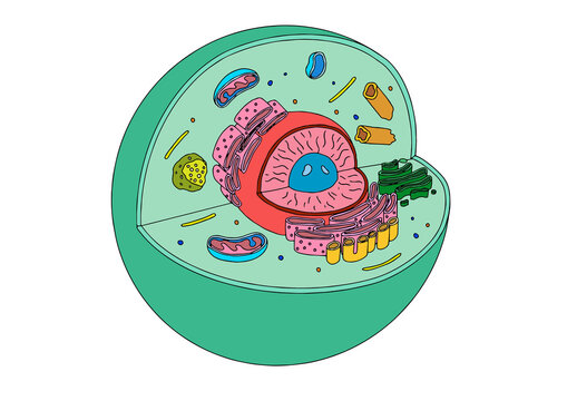 🧠 Trivia Tuesday! 🤓

Can you guess this one? 🤔

Q: What's the powerhouse of the cell?

Reply with your answer below, and let's see who gets it right! 💡📚 #TriviaTuesday #EducationFun #ScienceTrivia #OnlineLearning