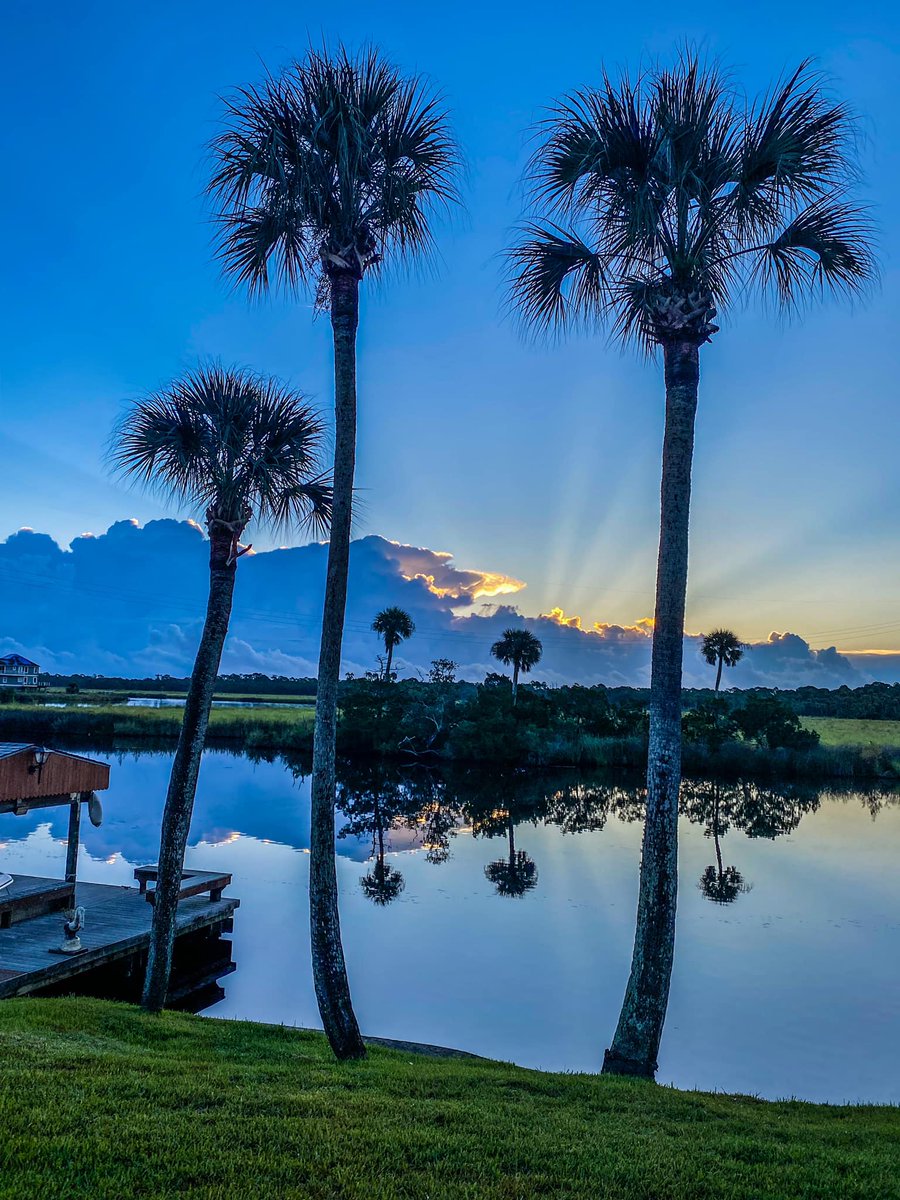 <a href="/20ysf1/">Yusuf</a> Thank you very much Yusuf, may your day be wonderful!☕️🌹