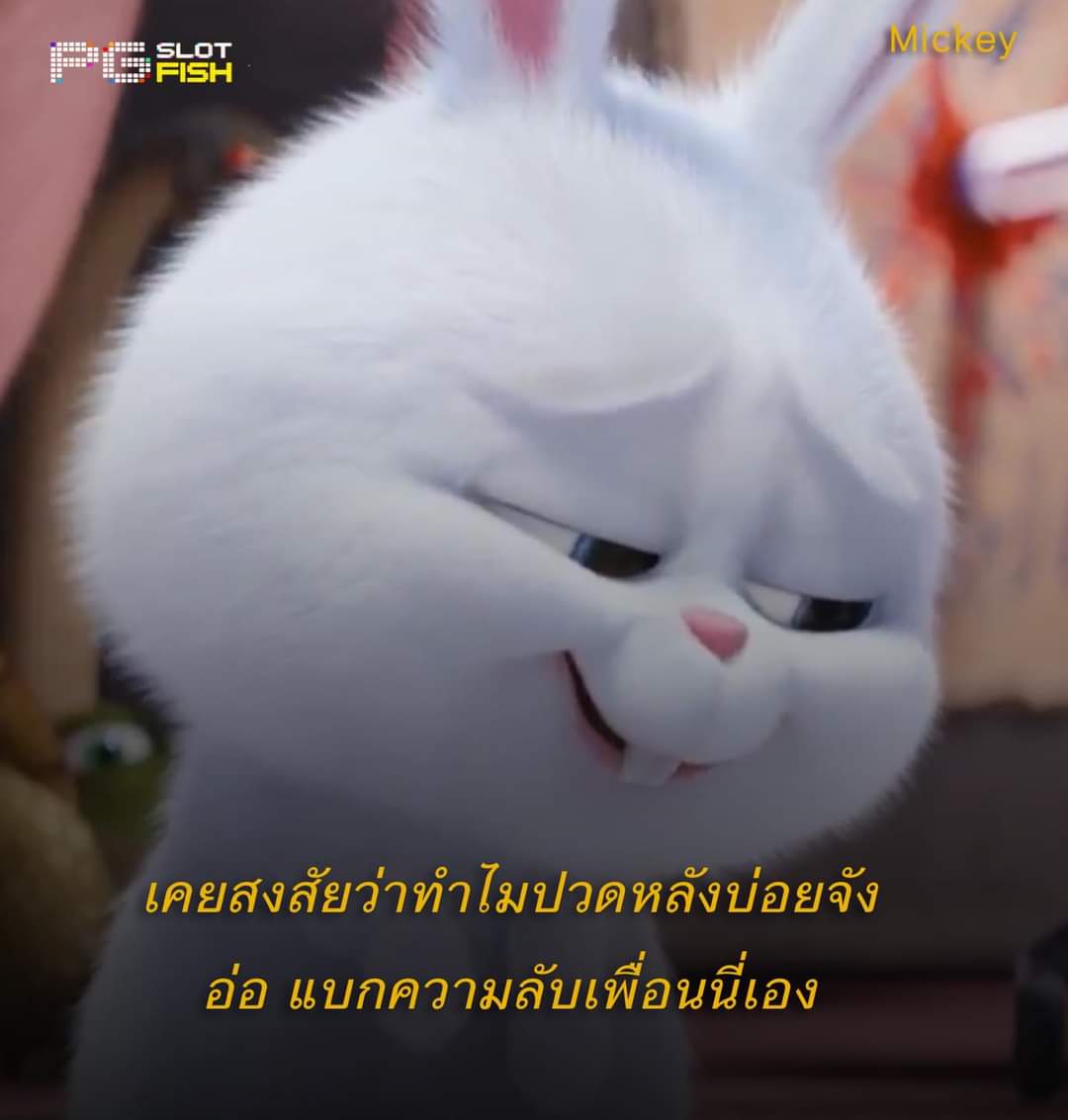 Machimoro6's tweet photo. ปวดหลังชิบ...แต่อยากเปลี่ยนมาปวดเอวบ้าว https://t.co/TlDNn3ODQ3