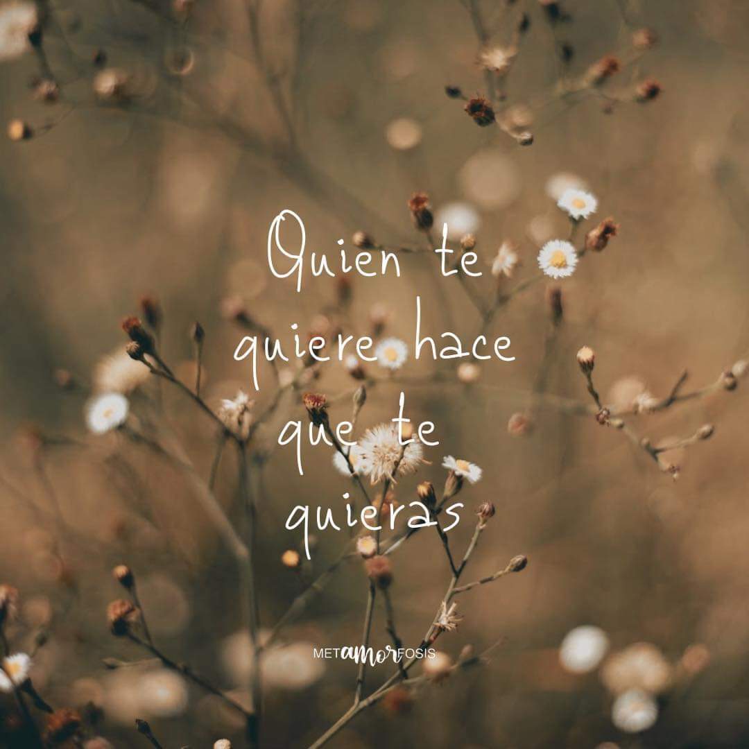 karenhern20's tweet photo. #Quierete. Bonita noche 🌛 https://t.co/oEfClTBoTw