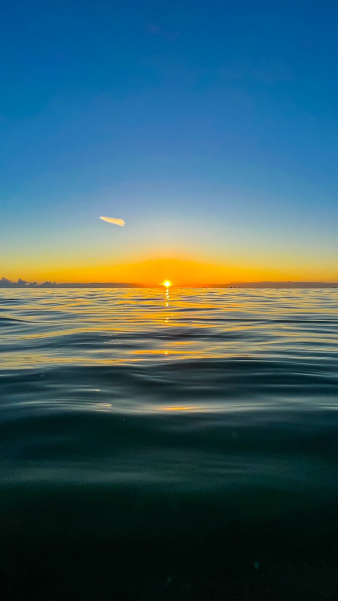 SunrisePhotography tweet media