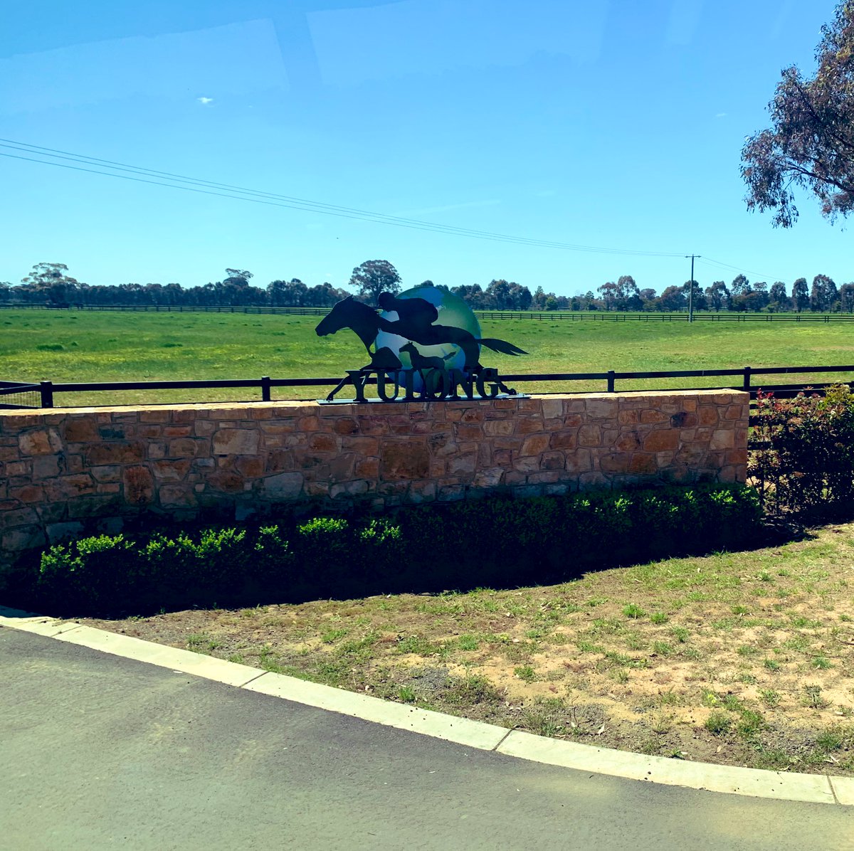 evotbreds's tweet photo. An AMAZING morning spent at @YulongInvest with the year 11 Equine Students. Such an incredible insight into the breeding world getting to see everything from vet works to foals, to stallions and even a live cover! What an amazing setup! https://t.co/wbPIPGUYcX