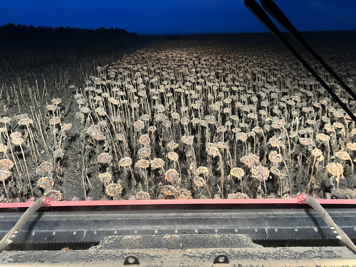 Colten Bodie tweet media