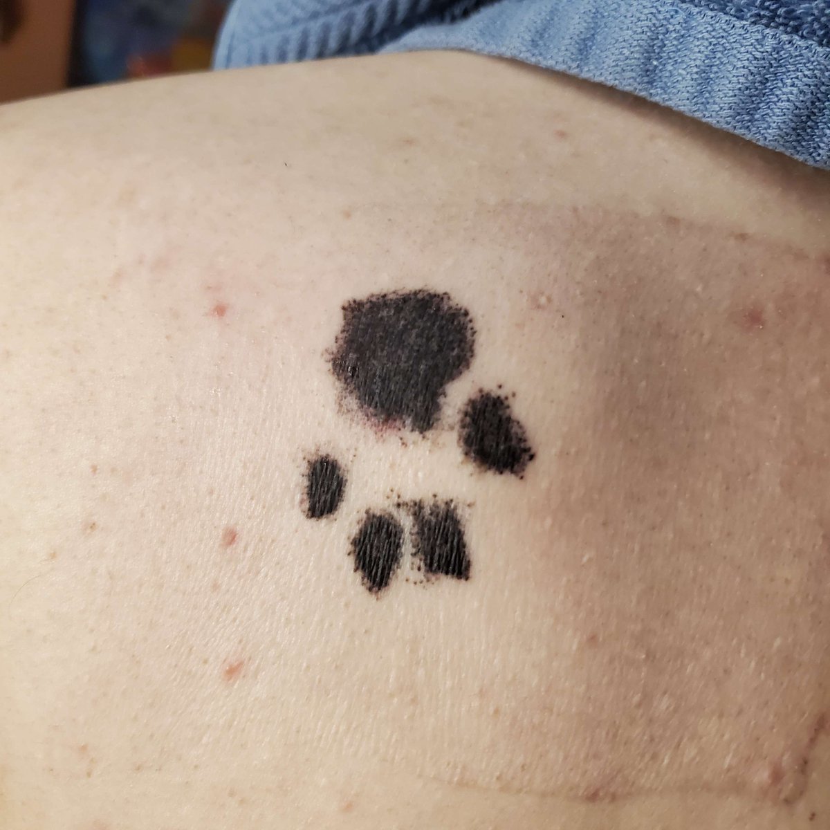 mekkler's tweet photo. I'm not usually the type to get sentimental art, let alone get a tattoo, but Taboo was special. Now we can stay together even though he's gone. I miss you every day, buddy, thank you for all the years of love. https://t.co/1GQqyt5USW