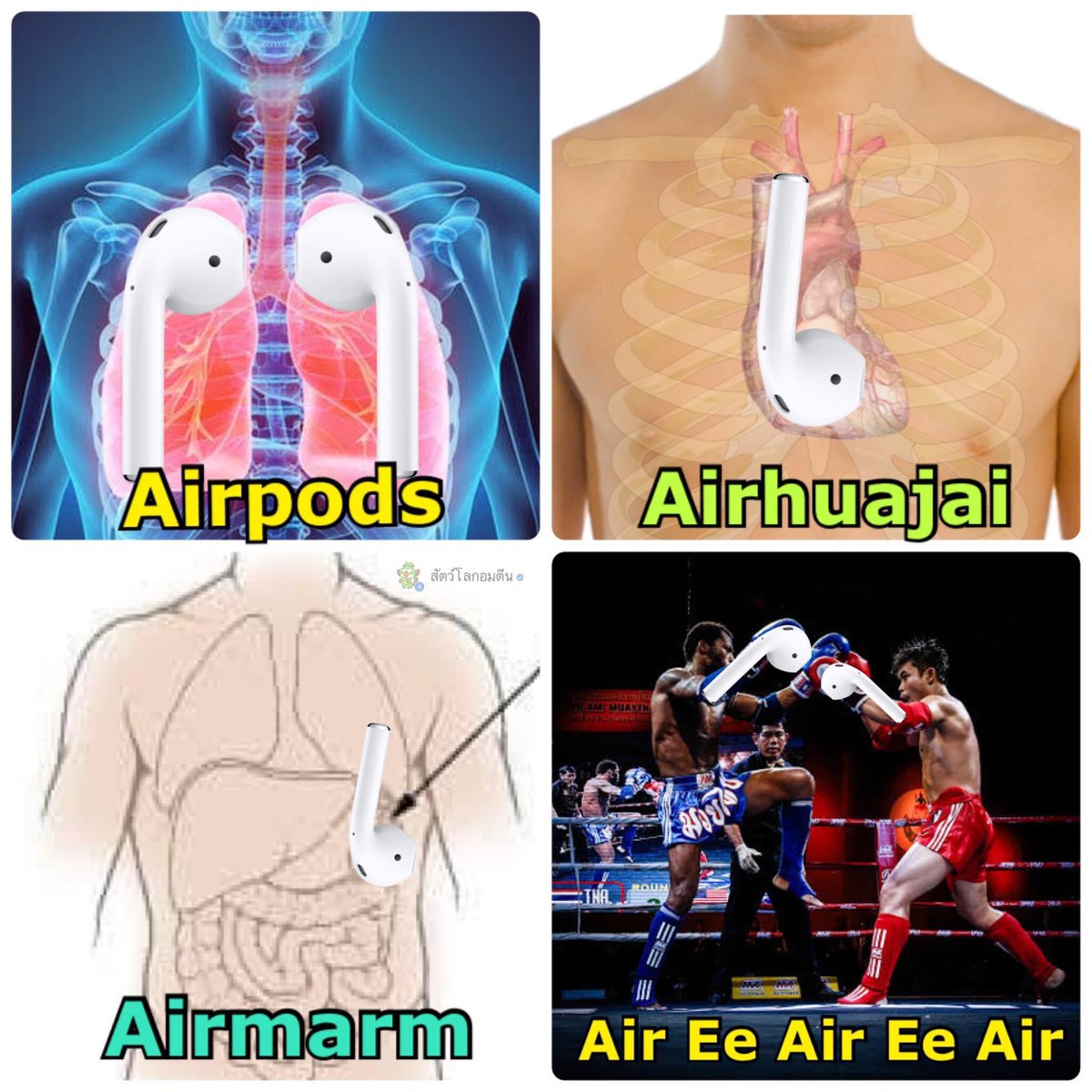 🕯 (ft. standing with🍉) (@the_passa_) on Twitter photo 