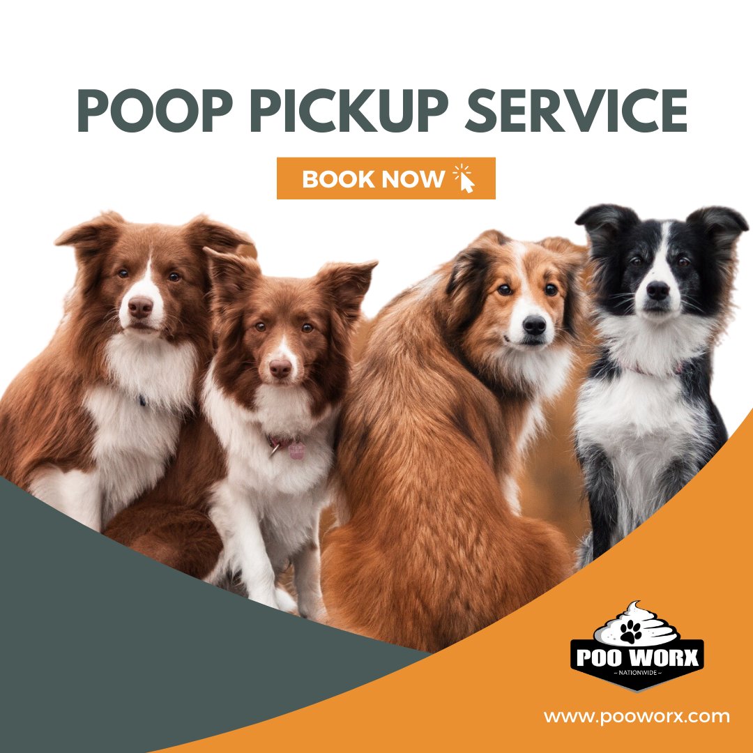 Call/text 250-826-8028 to set up your service 💙

#dogpoop #petwaste #pickuppoop #canadapups #canadabarks #okanaganlife #doglife #kelownadogs #canadiandogs