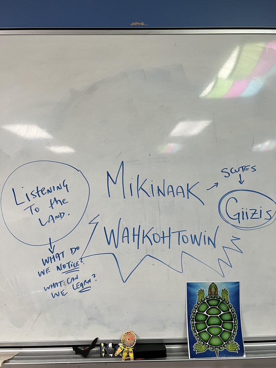 youarepoetryedu's tweet photo. Our October #IndigenousEducation theme is ‘Listening to the Land’. We made mikinaak (turtle) 🐢puzzles &amp; noticed his scutes show giizis (moons) 🌙. We danced like our animal siblings &amp; saw what we can learn from each. All to teach wahkohtowin; the truth that we’re all connected. https://t.co/Cd08DX7oBt