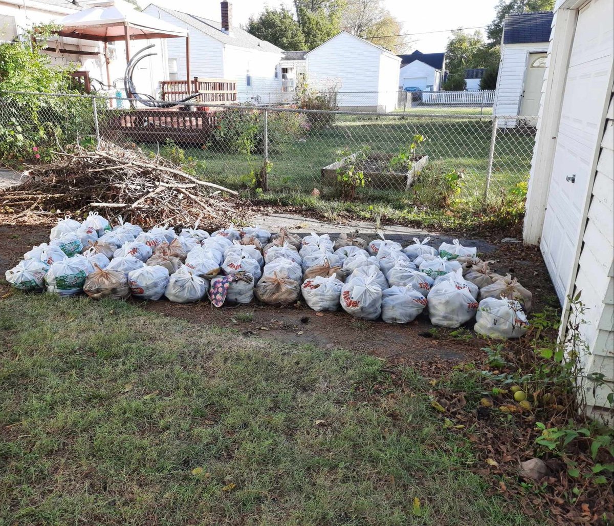 My Mom rolled and bagged (into grocery bags) the walnuts in my backyard.  - Jen