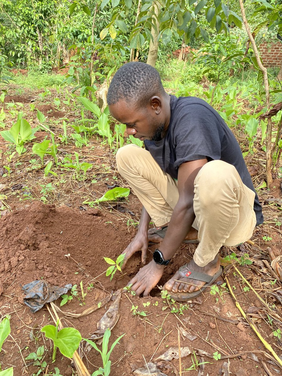 Through patience & trust in the process, I'm setting an example for my community. Together, we can make a difference & show that small actions lead to significant change.  Let's nurture our world for generations to come! 

 #ClimateWeekNYC #TreePlanting #ClimateCrisis #trees