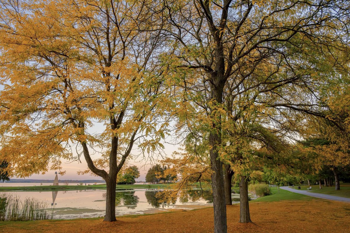 Andrew Haydon Park, #myottawa #AutumnVibes #coloursofnature