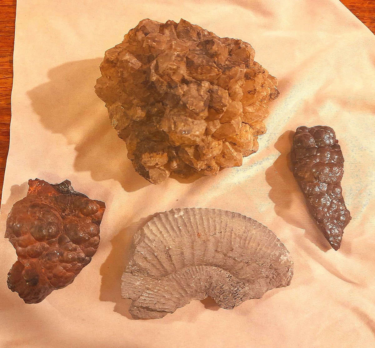 Good 'craic' in t'pub tonite, encompassing many subjects, including 'old flames' &, inevitably, Israel/Palestine.
Also geology.
2 x Botryoidal hematite from West Cumbria.
1 x Barytes ( barium carbonate), from Ennerdale & an Ammonite from Yorks coast.
Never too old to learn, eh?