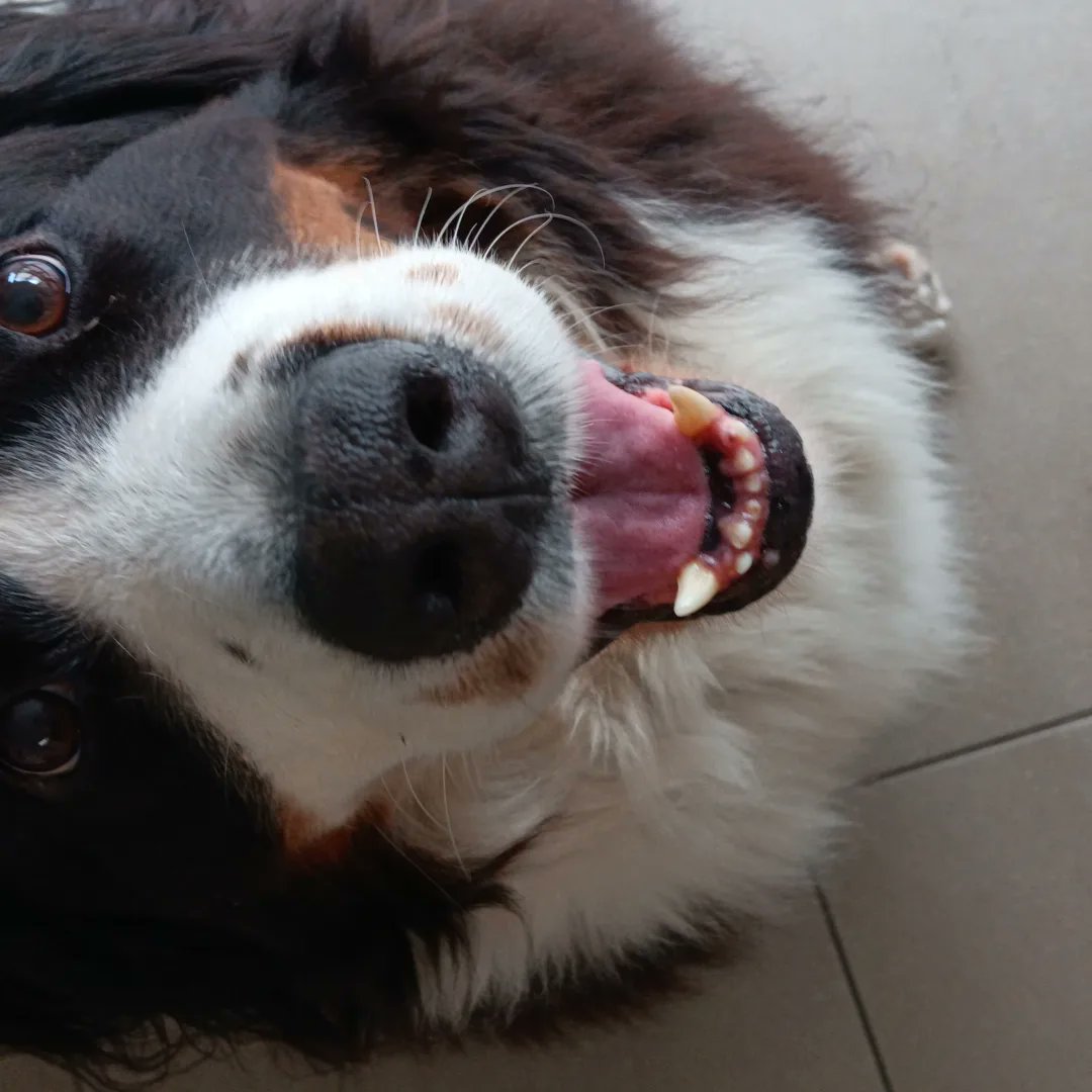 tatelling tweet media