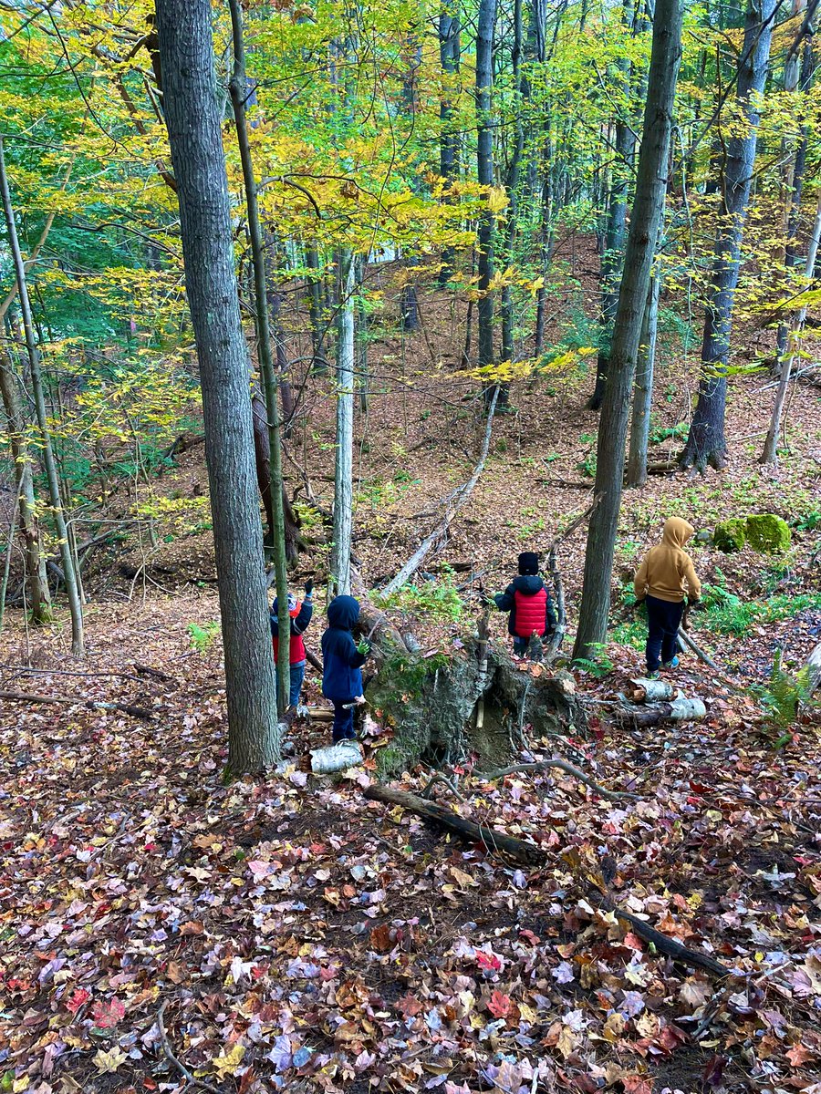 SusanKochVT's tweet image. Saying goodbye to summer, and hello to fall. #ECO #firstgrademagic #mrpsvt @BareaKatie @Bonesteelvt @NBNC_VT