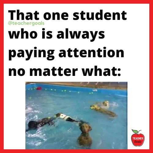 teachergoals's tweet photo. Love that kid! 🧡
🌐 https://t.co/leSsDUnQAd https://t.co/hfH1FtKwjI