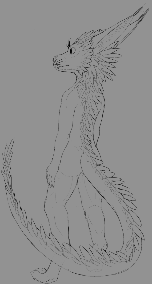 kaelygon's tweet photo. A lot of people have asked what species my sona is. I usually refer it as furred dragon but it takes features from many animals such as monitor lizards.
So I started drawing a custom species ref! 
Eventually I want to make this into a VRChat model sold on Gumroad https://t.co/EcY23zVUsD