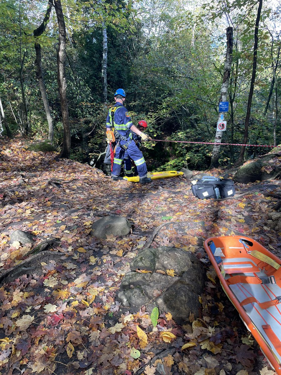 Scott Davison tweet media