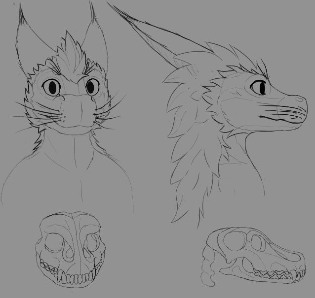 kaelygon's tweet photo. A lot of people have asked what species my sona is. I usually refer it as furred dragon but it takes features from many animals such as monitor lizards.
So I started drawing a custom species ref! 
Eventually I want to make this into a VRChat model sold on Gumroad https://t.co/EcY23zVUsD
