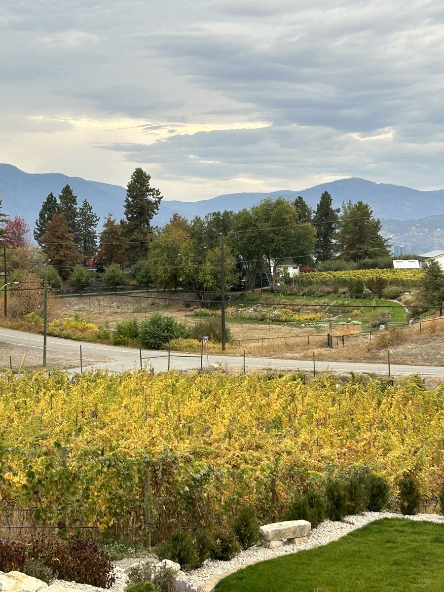 Our patio and wine shop are open from 11:00-5:30 Tuesdays-Sundays, closed on Mondays. Come relax and enjoy this view. 
#pinotnoir #chardonnay #pinotgris #riesling #eastkelownaslopes #okanaganwinery #kelowna
