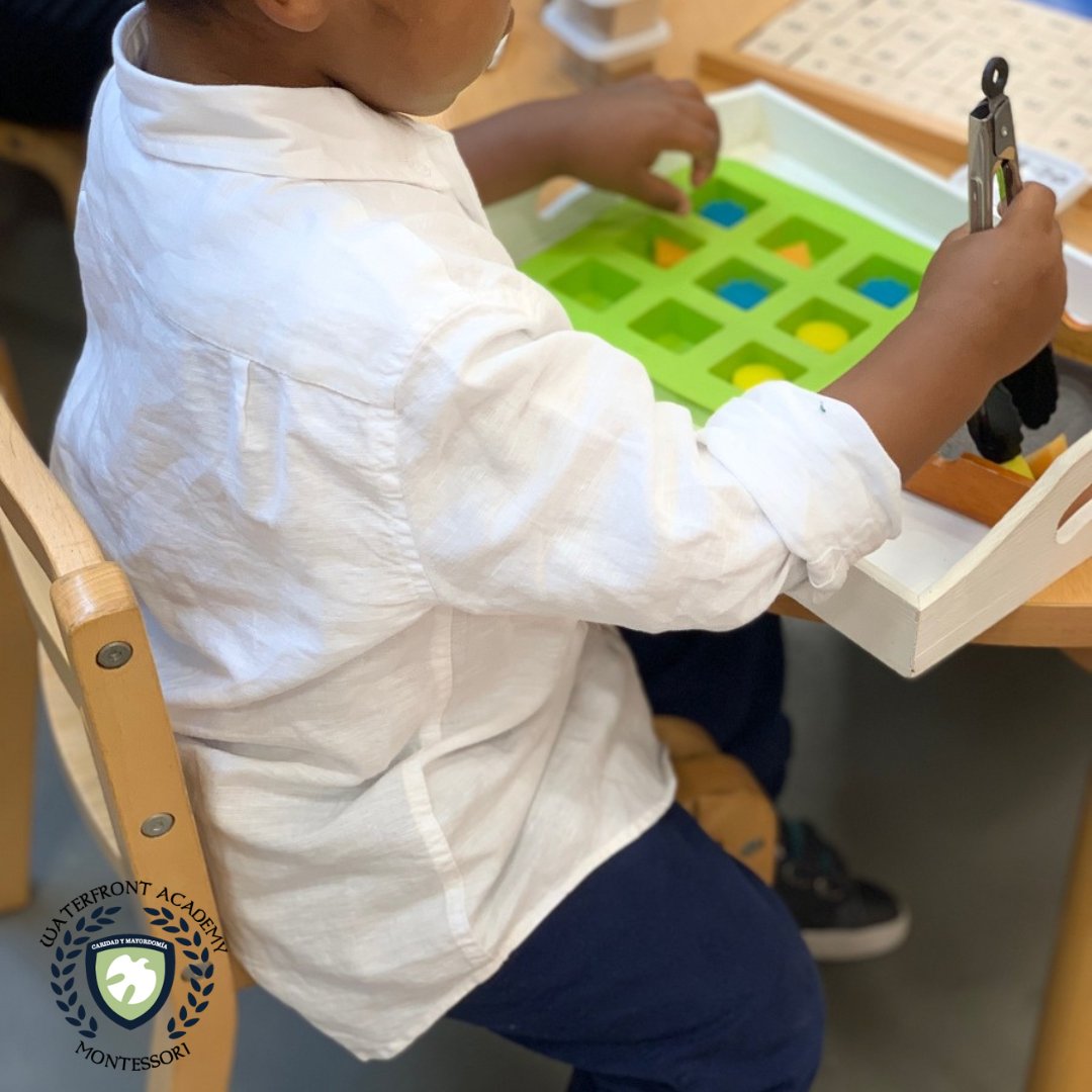WaterfrontAcad's tweet image. Nurturing independence and practical life skills in our Montessori Primary classroom! From pouring water to polishing, our students are fully engaged in hands-on activities. #SWDC #WharfDC #CapRiv #NavyyardDC #capitolhilldc #washingtondc #districtofcolumbia #thedistrict