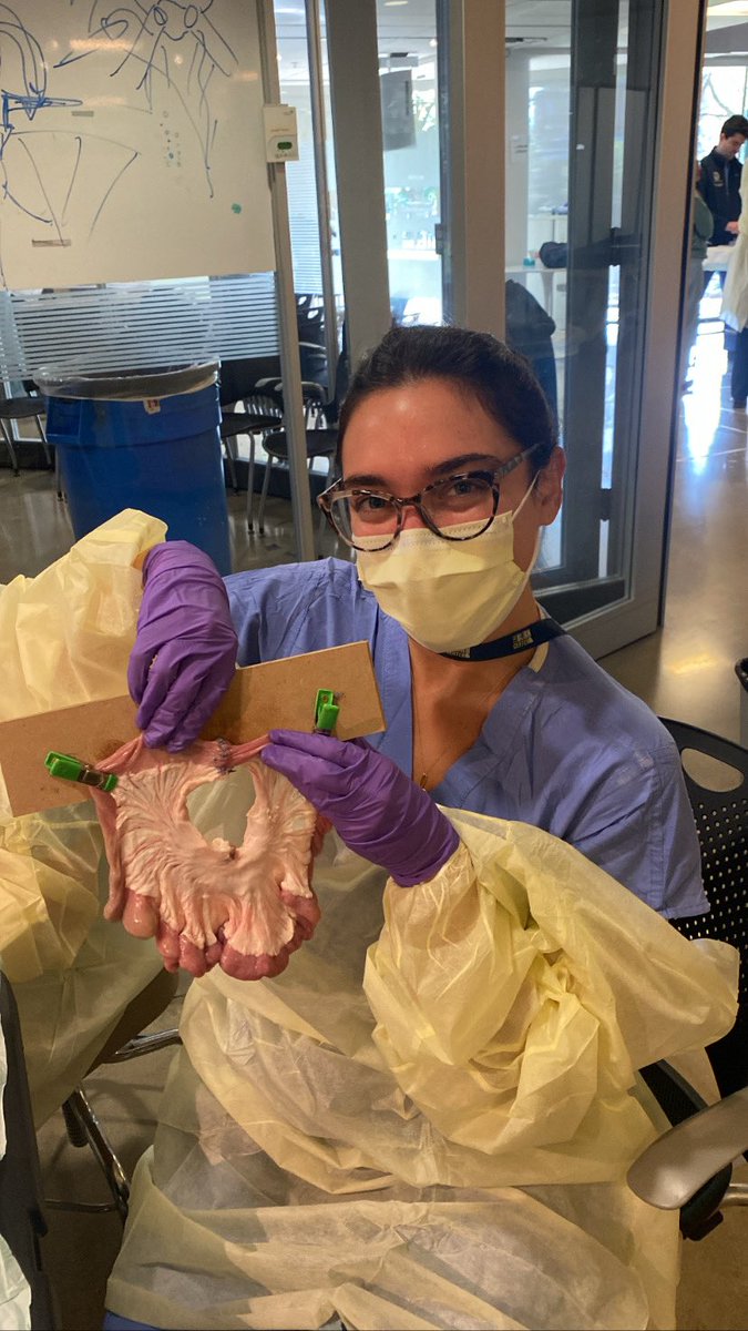 Georgetown-WHC General Surgery Residency (@guh_whcsurgres) on Twitter photo Today at sim lab, our program director, Dr. Patrick Jackson, reviewed techniques for the double-layered hand-sewn bowel anastomosis with our senior residents 🙌 🪡 <a href="/p_g_j_/">Patrick Jackson, MD</a> Today at sim lab, our program director, Dr. Patrick Jackson, reviewed techniques for the double-layered hand-sewn bowel anastomosis with our senior residents 🙌 🪡 <a href="/p_g_j_/">Patrick Jackson, MD</a>