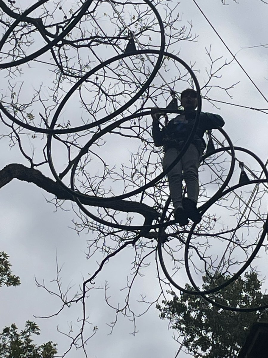 Mr. Neidich tweet media