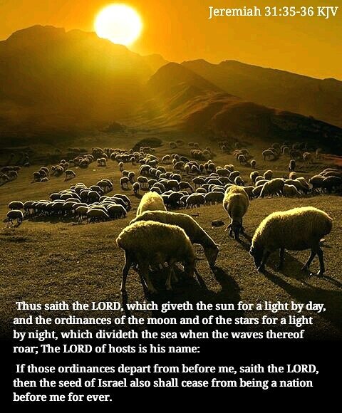 Please continue to pray for Israel 🙏 

The Lord our God will not let His people be destroyed