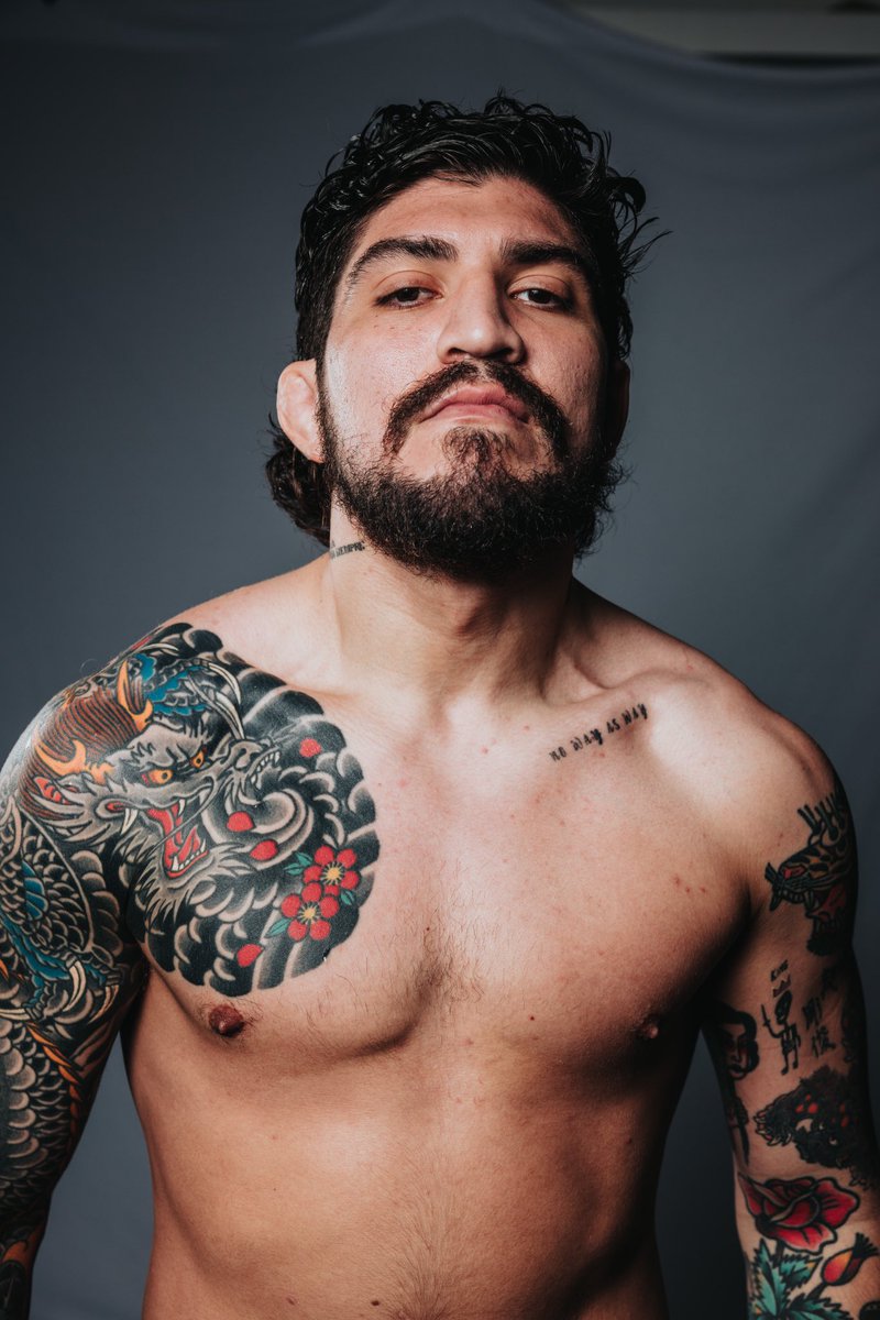Dillon Danis tweet media