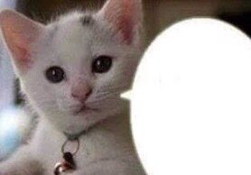 n sei se faço plot de lis ou de animal crossing