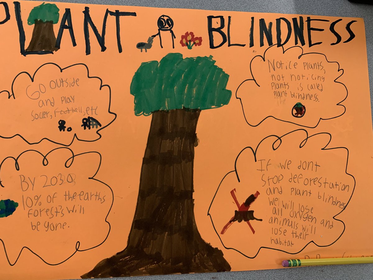 Mrs. Holtkamp tweet media