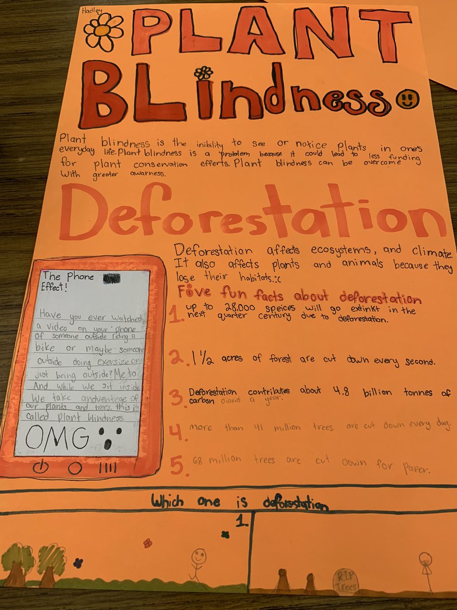 Mrs. Holtkamp tweet media