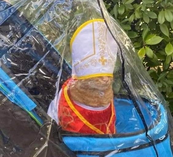malacarasev's tweet photo. - SU GATIDA POR FAVO
- APARTEN ES ER GATOMOVI
- UN MILAGRO PARA MI HIJO POFAVO KE SIEGO ER POBREMIO
- PO IRA PA LOKE HAY QUE VE
- SU GATIDA SIRVUPLE
- IN NOMINE GATI QUE VEA ESA CRIATURA
- GRASIA GATIDA
- DE NADITA AVANSAMO SEÑORE POFAVO KE MESPERA ER WISKA O SIMILA https://t.co/SLG2r3trbr