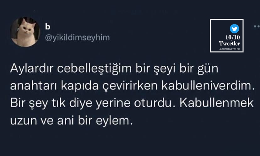 10/10 Tweetler (@onontweetler) on Twitter photo 