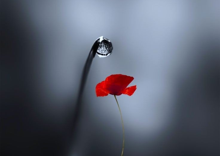 สิ่งที่หลอกลวงที่สุดคือหน้า
สิ่งที่มีค่าที่สุดคือใจ
สิ่งที่เชื่อไม่ได้ที่สุดคือปาก
สิ่งที่เข้าใจยากที่สุดคืออารมณ์
สิ่งที่ไร้ค่าเหมือนลมคือคำพูดของคนไม่จริงใจ
Cr : พูดดี