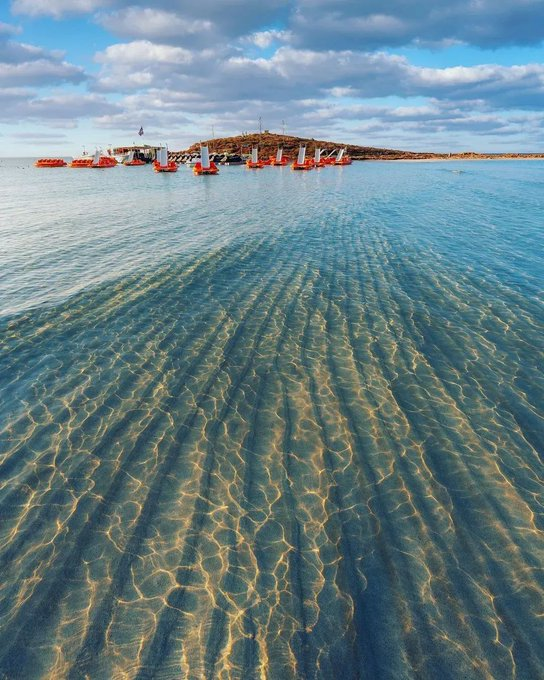 showerZHfood's tweet image. I was driving down the seaside highway and was struck by how smoothly nature and infrastructure merge! A land where the seas become roads and the horizons stretch on forever. Mother Nature&apos;s craftsmanship at its best! #EndlessHorizons #CoastalDriving