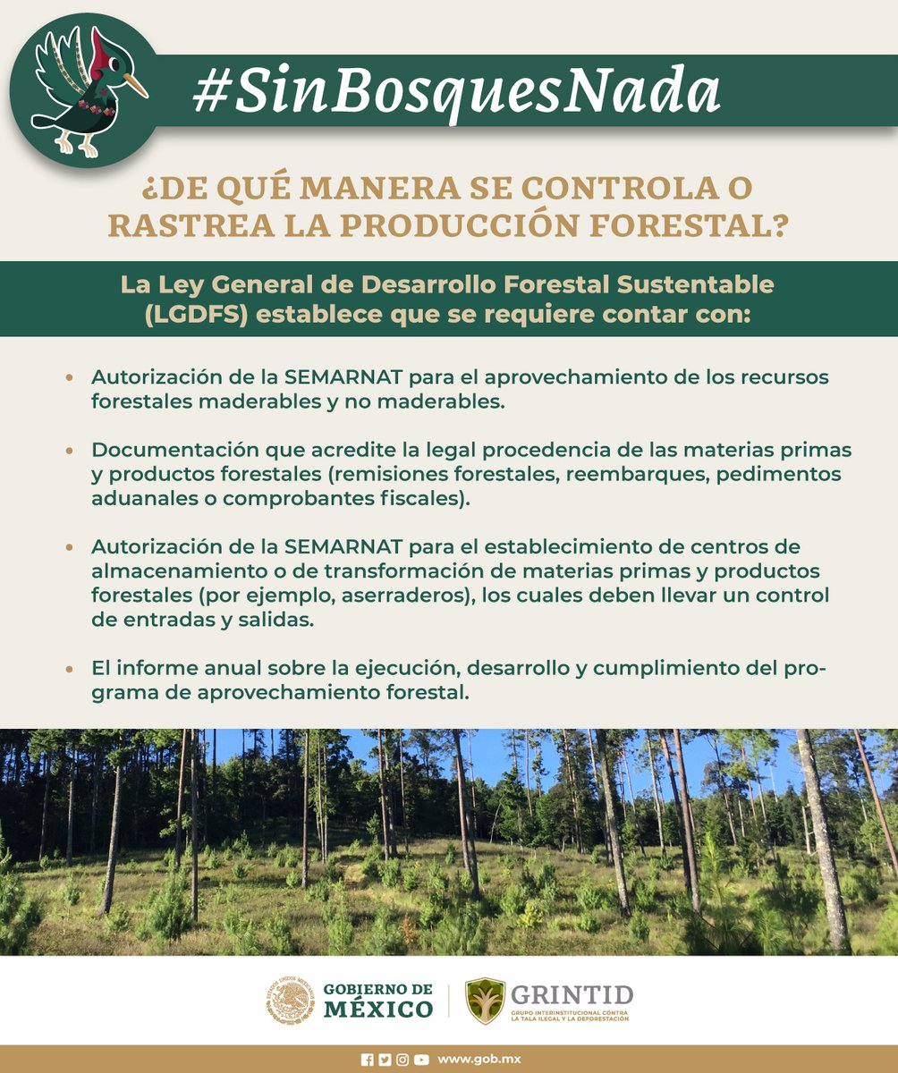 PROFEPA_Mx's tweet photo. 🪵🔎Trabajamos incansablemente para proteger y conservar los ecosistemas forestales.
#SinBosquesNada🌲#GRINTID🏞️ https://t.co/ue7DRA3oSO