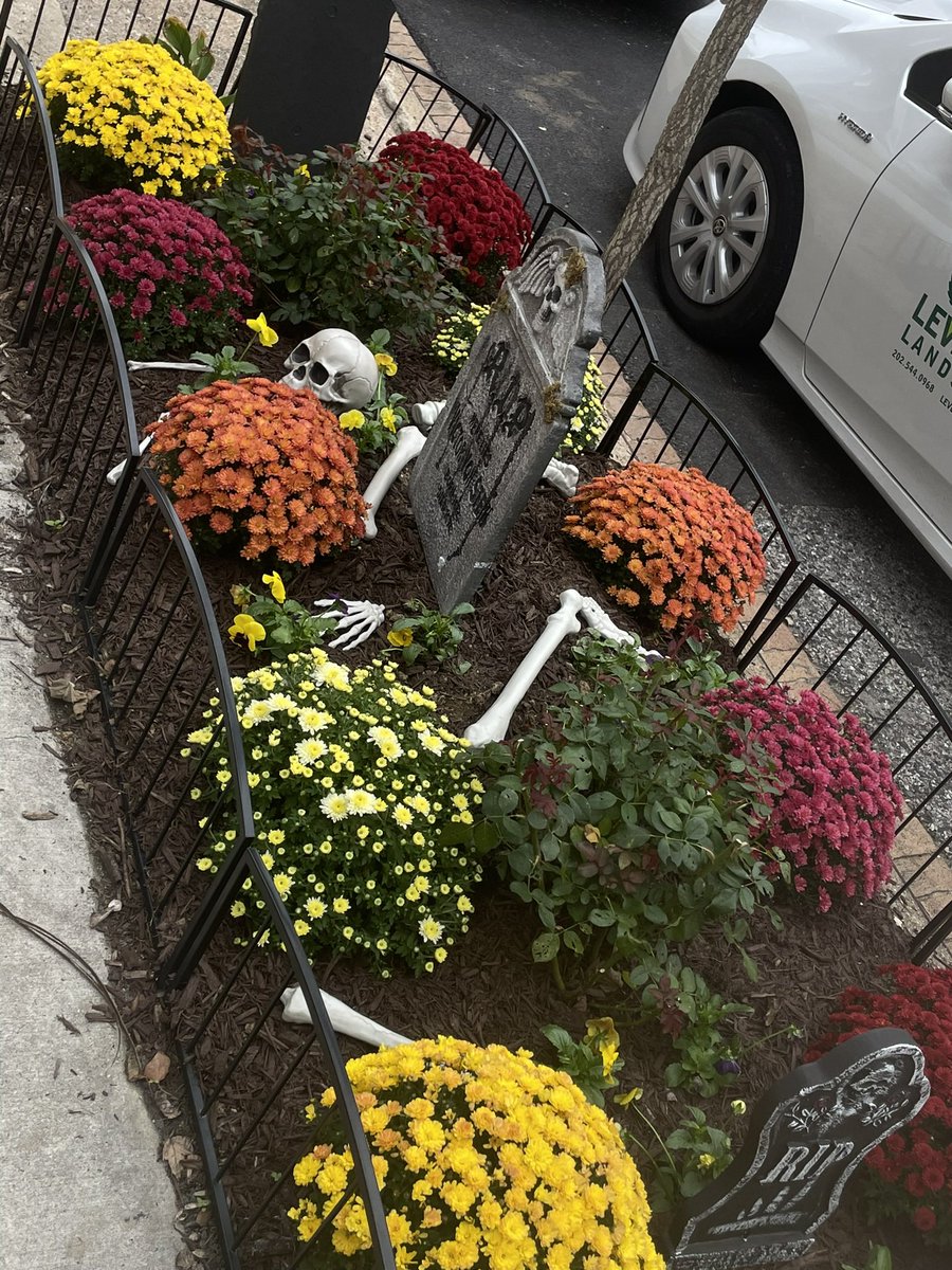 BBeyondPlastic's tweet photo. Happy Fall 🍁 
Its been a while since our last update but heres what BBP has been up to a thread 1/3? https://t.co/ANc350A6zo