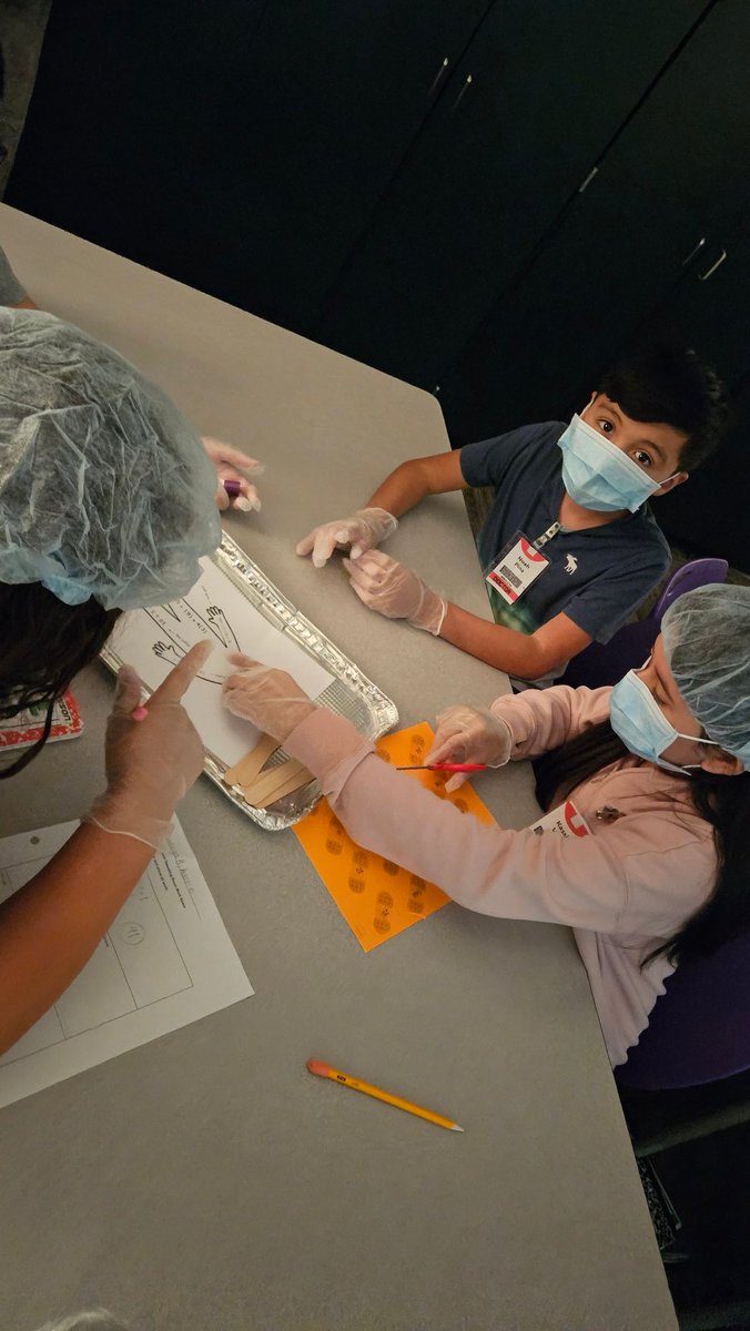 mafernan_ESE's tweet photo. Our lil wildcats doctors were operating on some unwell patients. By using their order of operations, we were able to patch them up and send them home fully recovered! @HumbleISD_HE https://t.co/52NpUG9QMQ