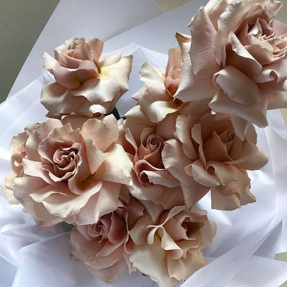 VictorianGardn's tweet photo. Reflux roses are a fairly new concept in the flower world. One we have not seen before now in the 27+ years we have been in this industry. This is where the petals of a soft head rose are bent carefully back in order to make a rose look completely open and expand the circumferenc https://t.co/W2GlUXHwYI