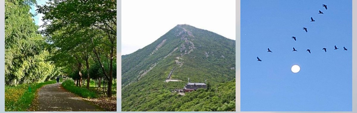 풀벌레 소리 정겨운
가을녘 기분따라

풍요롭고 선선함에
풀 향기 날리는

맑은 바람 함께하여
뭉게구름 흘러가듯

어디론지 가고픔에
가슴설렘 안겨주네!