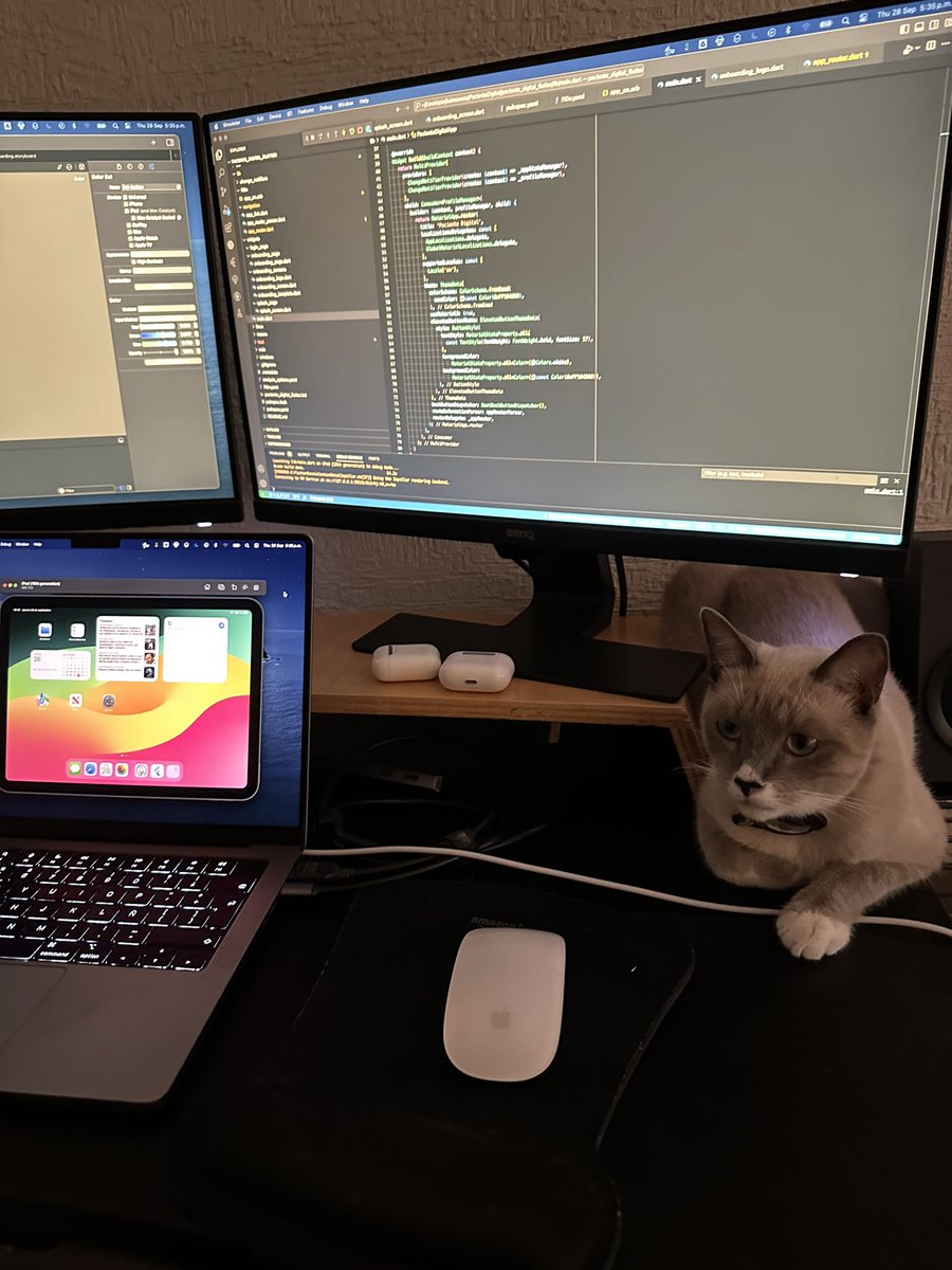 pabloborquezz's tweet photo. El Jerry Botas siempre acompañándome cuando programo 👨💻😺🚀
#coding #developer #cats #catprogramming #xcode #apple #macbookpro #vscode #programmer https://t.co/Wq66xy7te6