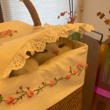 trybendsky's tweet image. Lovely🩶