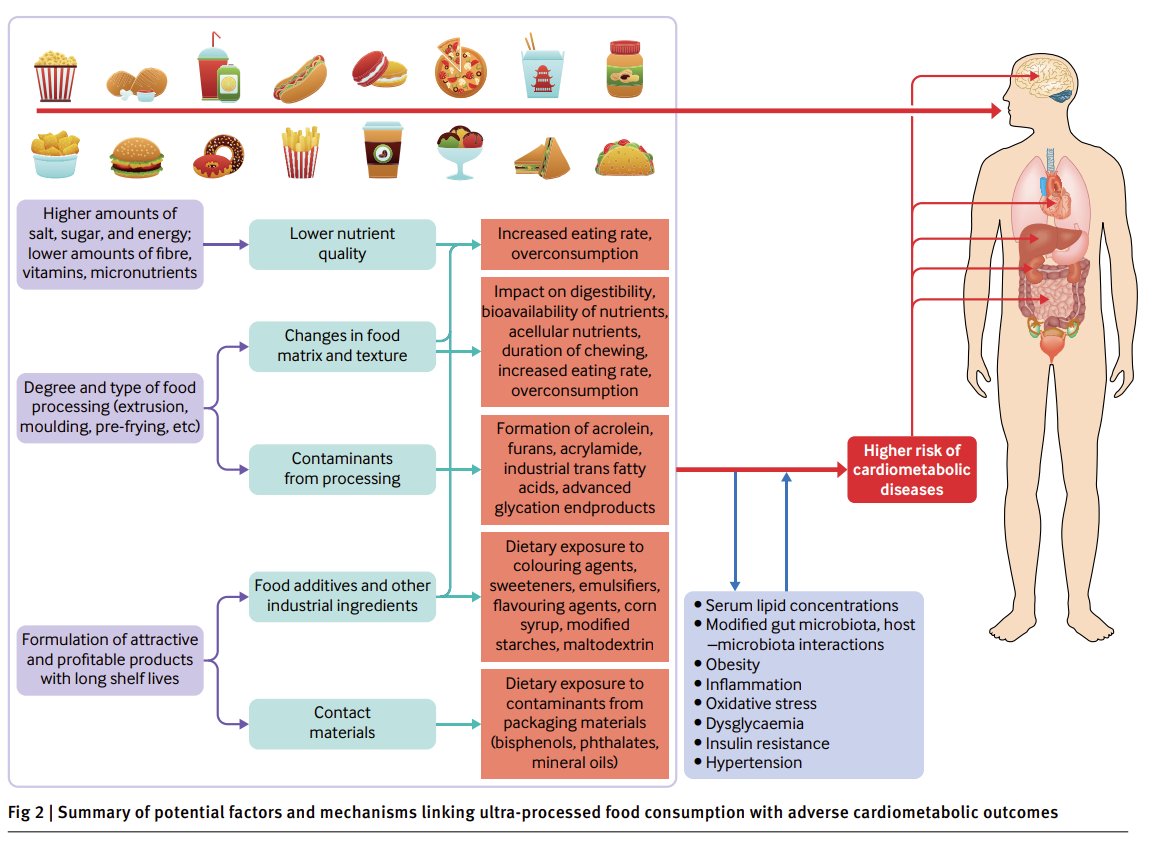 Hot off the press!🔥 New article out on 'Ultra-processed foods and cardiometabolic health: public health policies to reduce consumption cannot wait'. In short 'Existing evidence is sufficiently strong to warrant immediate public health actions' @bmj_latest bmj.com/content/383/bm…