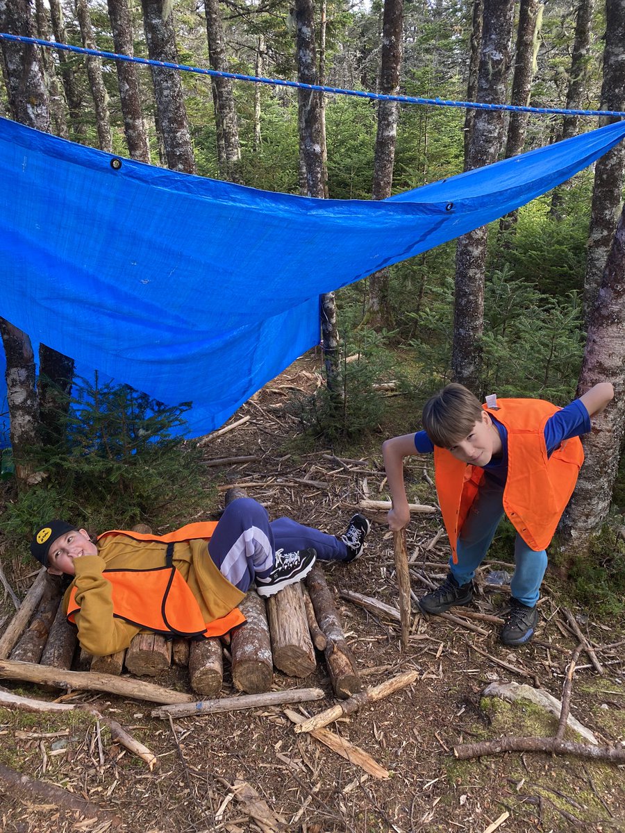 Meagan Perry tweet media